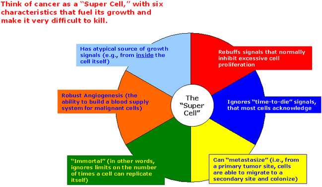 Think of cancer as a Super Cell, with six characteristics that fuel its growth and make it very difficult to kill. One: It has atypical source of growth signals. 2. It rebuffs signals that normally inhibit excessive cell proliferation. 3. It ignores time-to-die signals that most cells acknowledge. 4. It is able to migrate from a secondary site and colonize. 5. It ignores the limits on the number of times it can replicate itself. 6. It builds a blood supply for malignant cells.